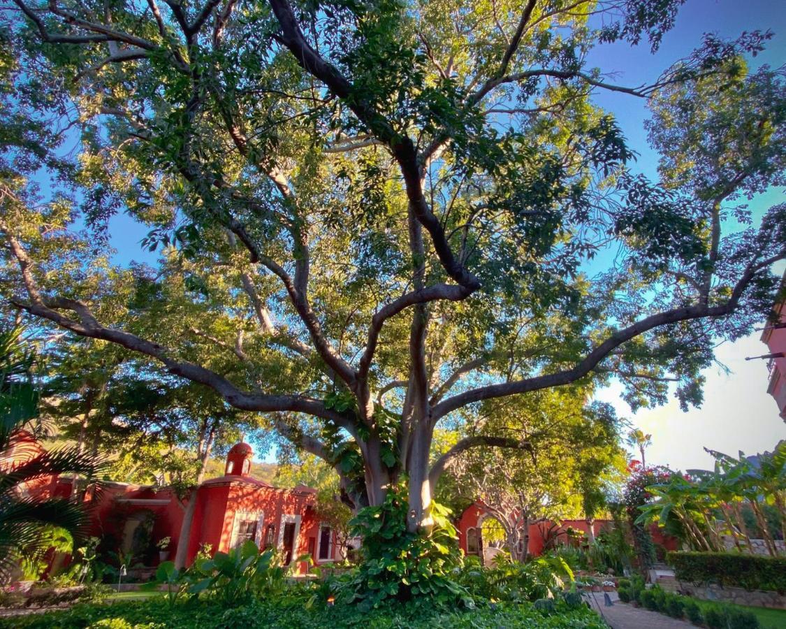 Hacienda De Los Santos Alamos Bagian luar foto