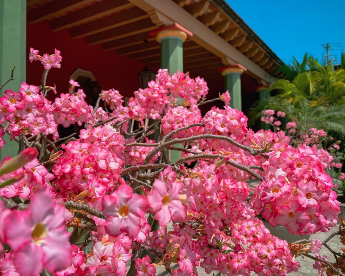 Hacienda De Los Santos Alamos Bagian luar foto